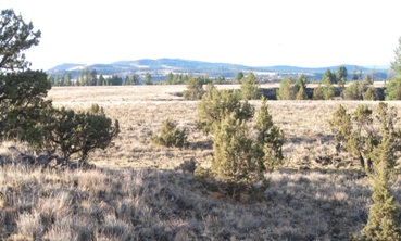 view across Moffit Table to Malheur River Canyon